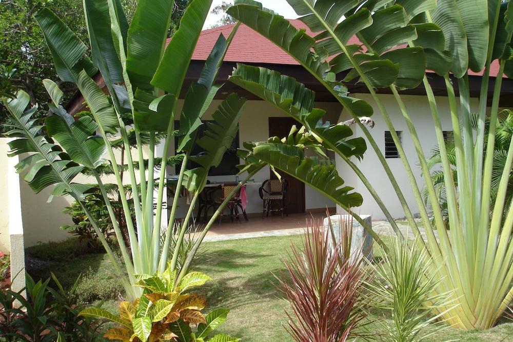 Alona Swiss Resort Panglao Exterior foto