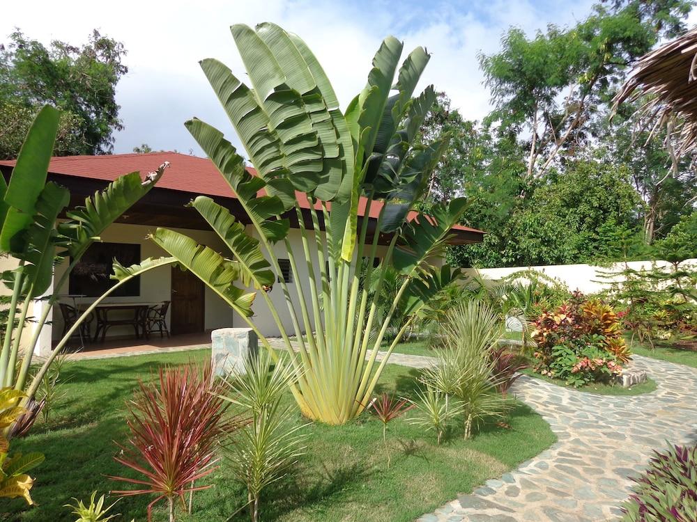 Alona Swiss Resort Panglao Exterior foto